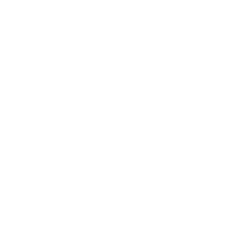 Burns Mobile Detailing